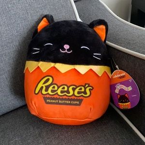 Reese’s squishmallow